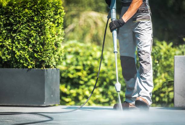 Best Factory Floor Cleaning  in Las Quintas Fronterizas, TX