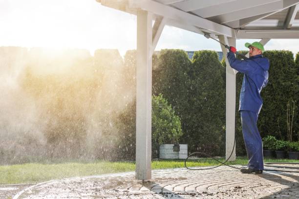 Best Spring Cleaning  in Las Quintas Fronterizas, TX