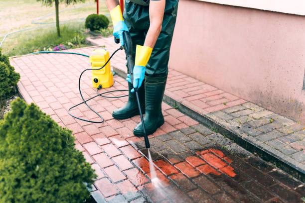 Best Rust Removal  in Las Quintas Fronterizas, TX