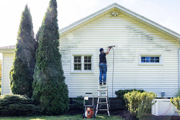 Professional Pressure Washing in Las Quintas Fronterizas, TX