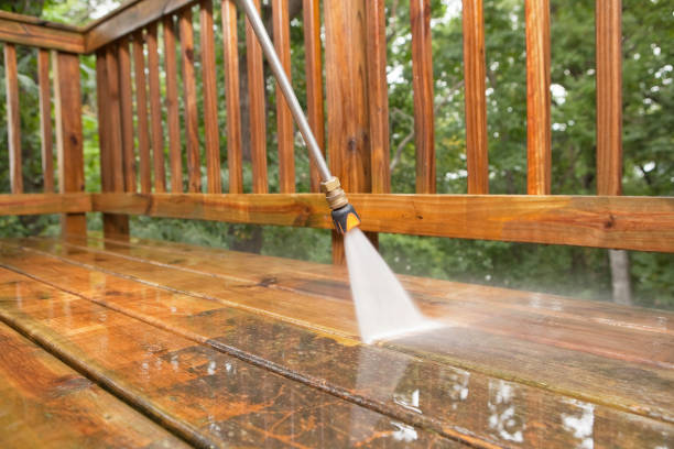Best Animal Enclosure Cleaning  in Las Quintas Fronterizas, TX